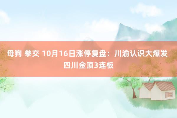 母狗 拳交 10月16日涨停复盘：川渝认识大爆发 四川金顶3连板