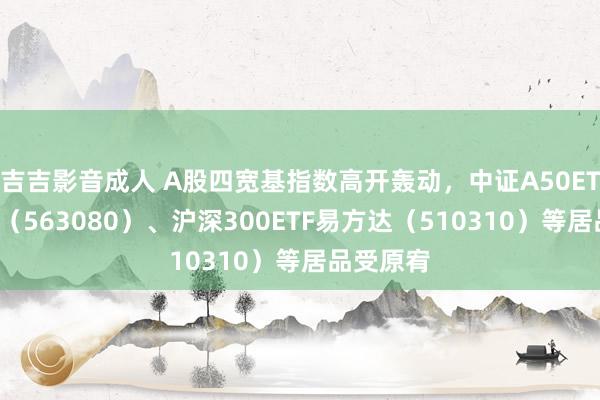 吉吉影音成人 A股四宽基指数高开轰动，中证A50ETF易方达（563080）、沪深300ETF易方达（510310）等居品受原宥