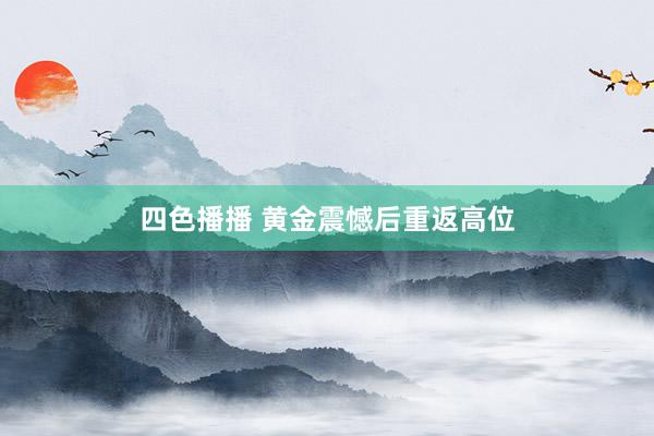 四色播播 黄金震憾后重返高位