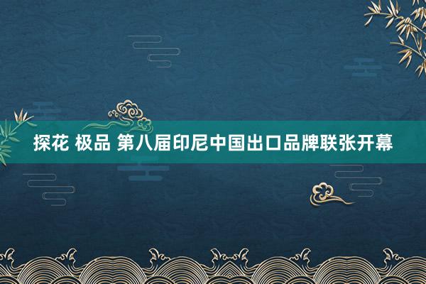 探花 极品 第八届印尼中国出口品牌联张开幕