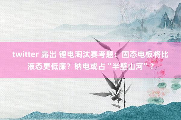 twitter 露出 锂电淘汰赛考题：固态电板将比液态更低廉？钠电或占“半壁山河”？