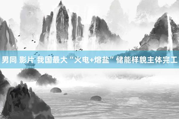 男同 影片 我国最大“火电+熔盐”储能样貌主体完工