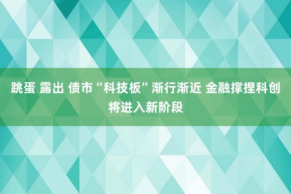 跳蛋 露出 债市“科技板”渐行渐近 金融撑捏科创将进入新阶段